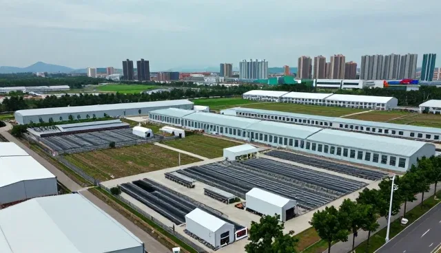 消毒剂选型中应用场景的关键考量因素